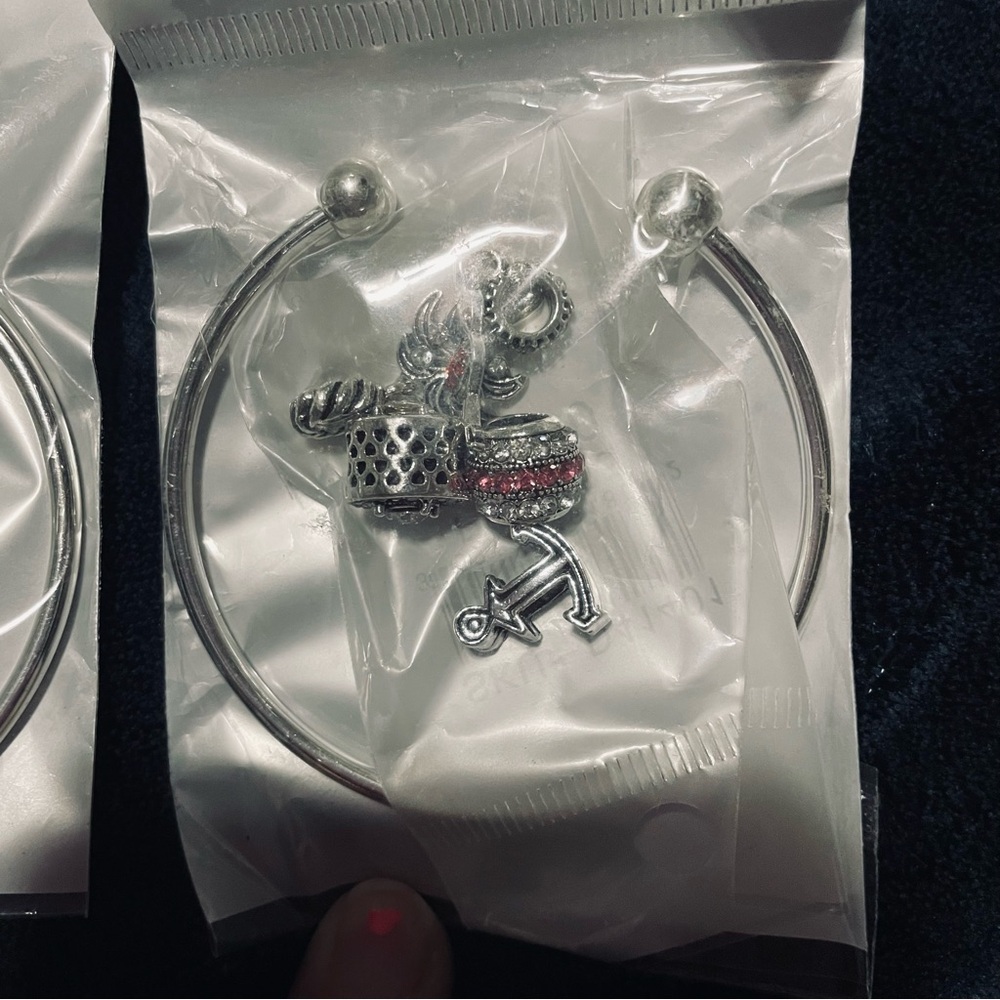 Carnival Cruise Silver Charm Bracelet with Charms